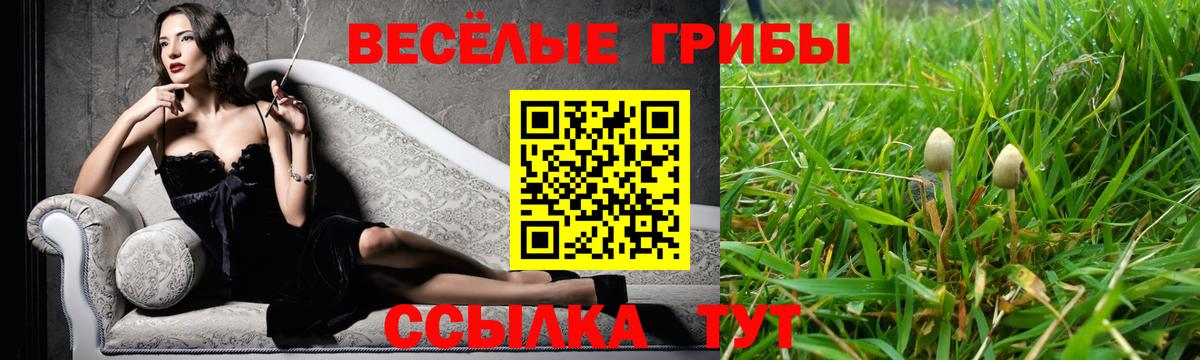 Галлюциногенные грибы ЛСД  Вход с VPN  Ростов Великий 